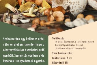 Gombaismereti túra