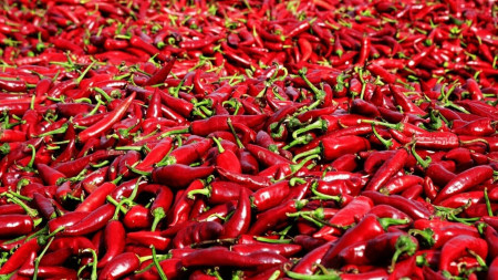 Szombati paprikázás